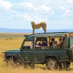 Fellowship with Nature via Exciting African Safari