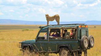 Fellowship with Nature via Exciting African Safari